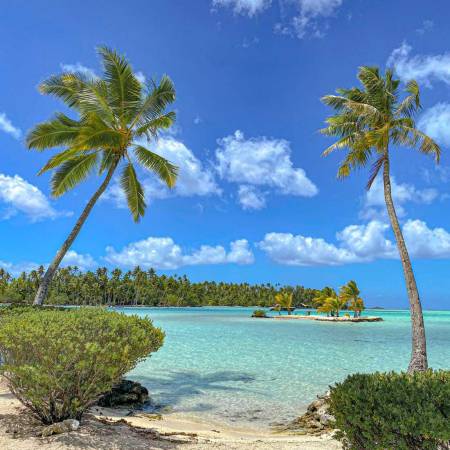 Tahaa-11.49.20