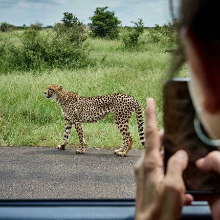 south-africa-mpumalanga-kruger-national-park-wo-2024-09-19-05-30-51-utc